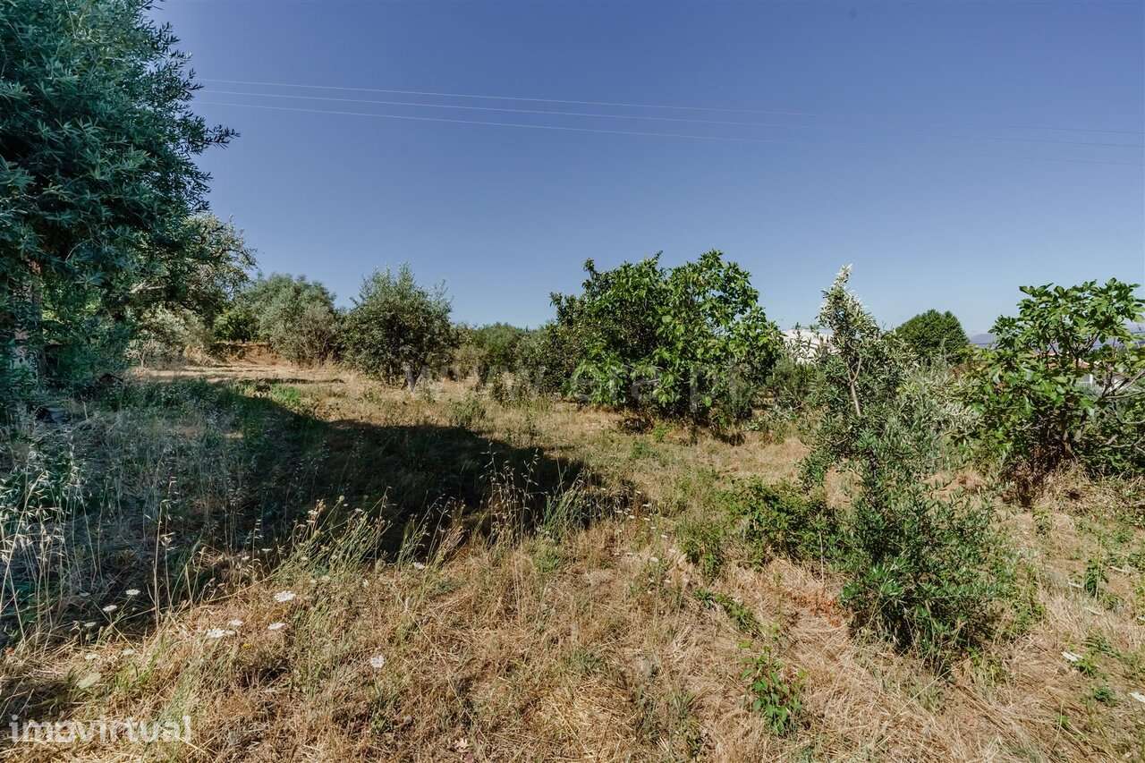 Terreno para Construção Estúdio / Fundão, Souto da Casa - Grande imagem: 3/17