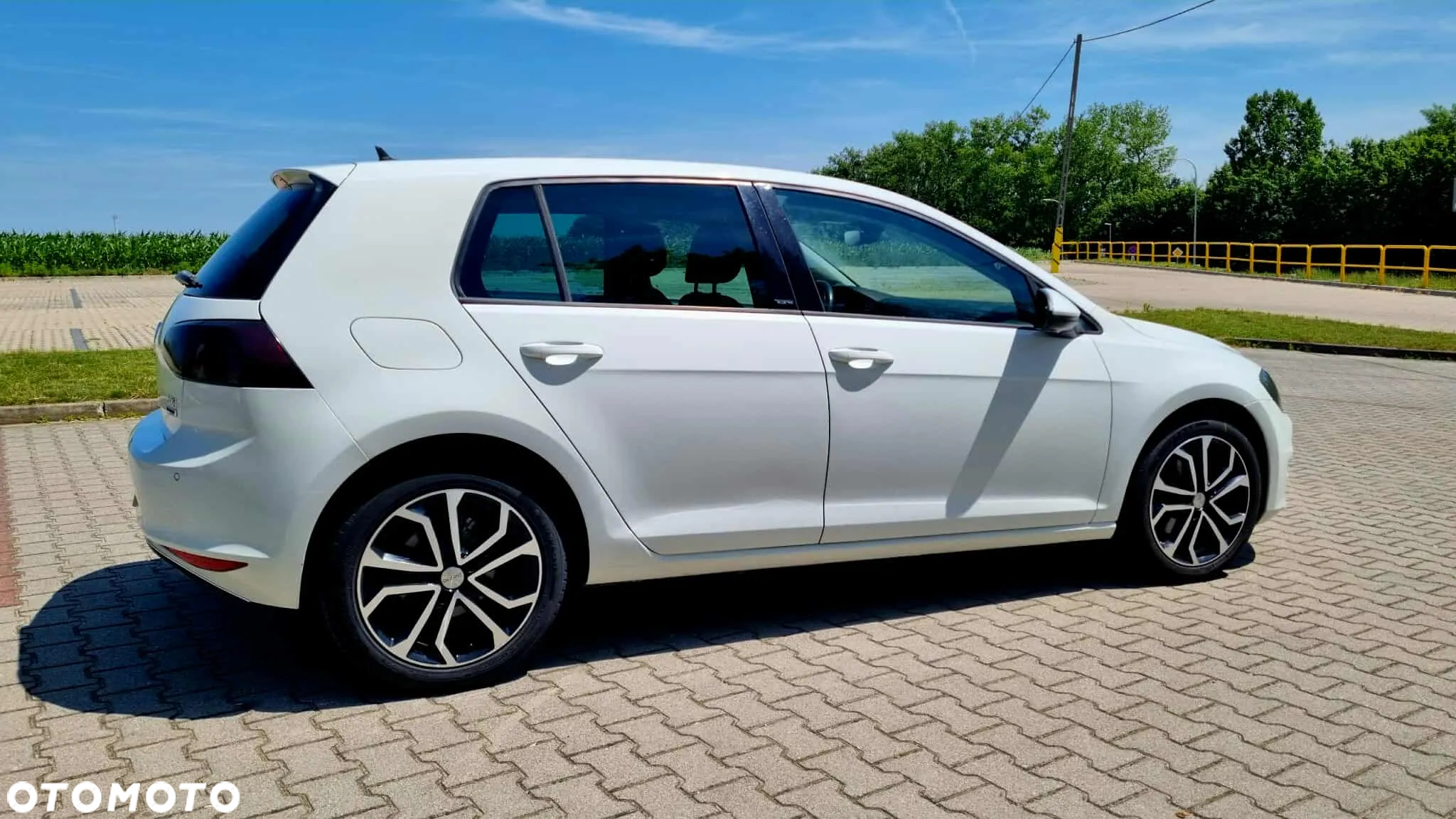 Volkswagen Golf 1.6 TDI BlueMotion Technology DSG Allstar - 6