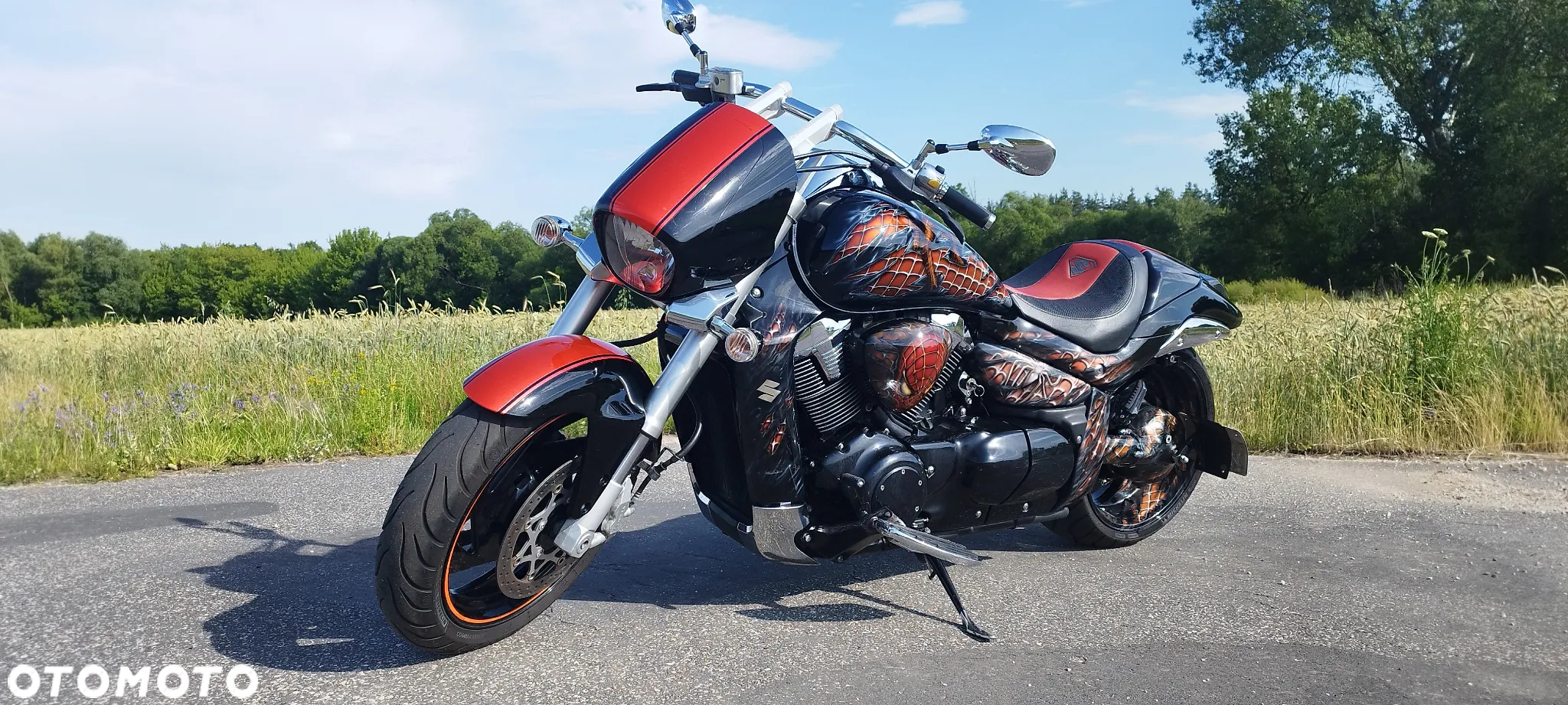 Suzuki Intruder - 20