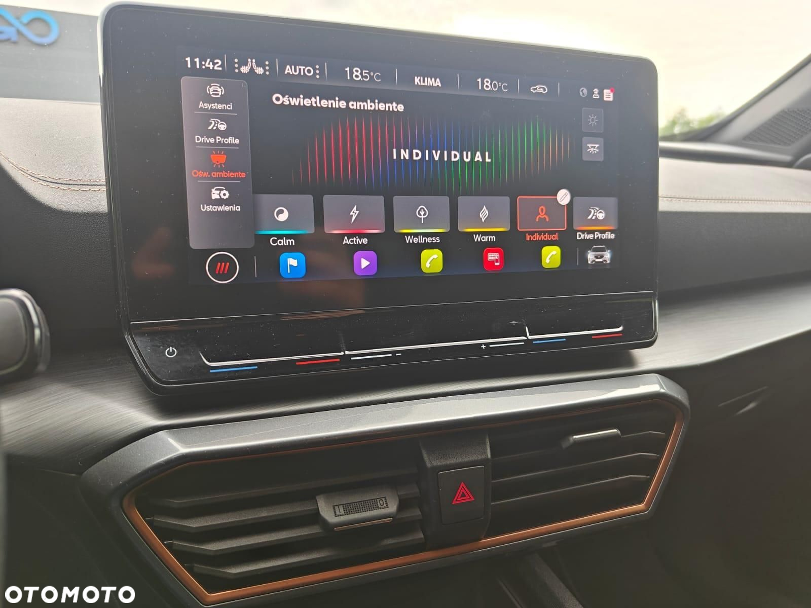 Cupra Formentor - 14