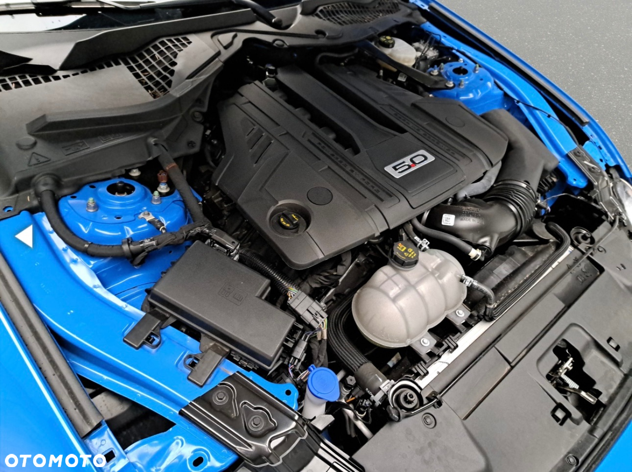 Ford Mustang 5.0 V8 GT - 19