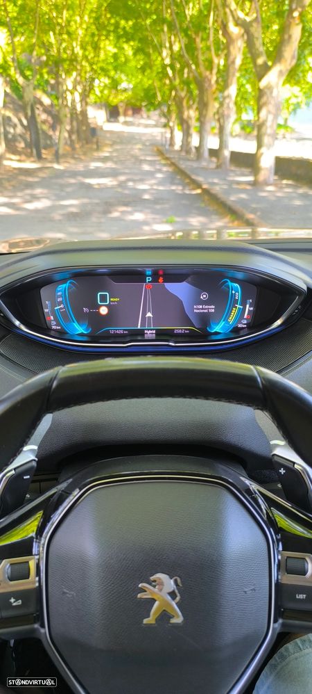 Peugeot 3008 - 16
