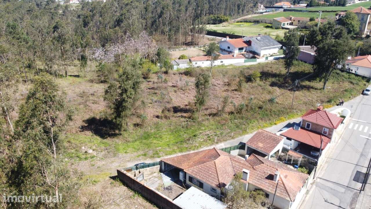 Oportunidade Única! Terreno para Construção em S. Martinho da Gândara - Grande imagem: 3/23