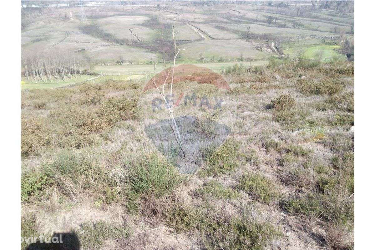 Terreno  para venda - Grande imagem: 5/8