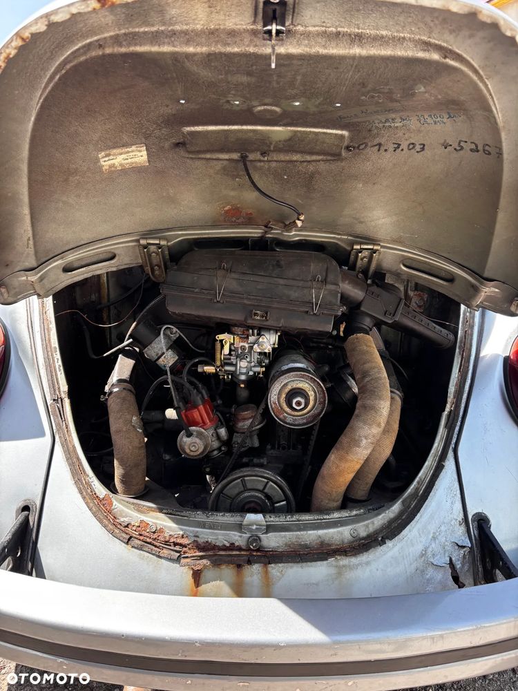 Volkswagen Beetle - 7
