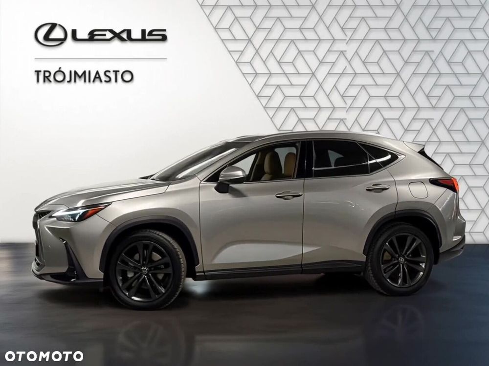 Lexus NX - 21