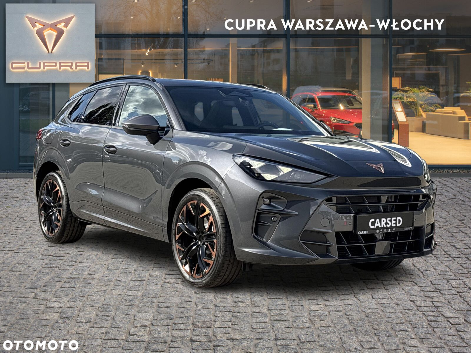 Cupra Terramar 2.0 TSI 4Drive Advantage Edition DSG - 8