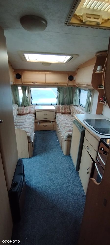 Coachman Amara - 12