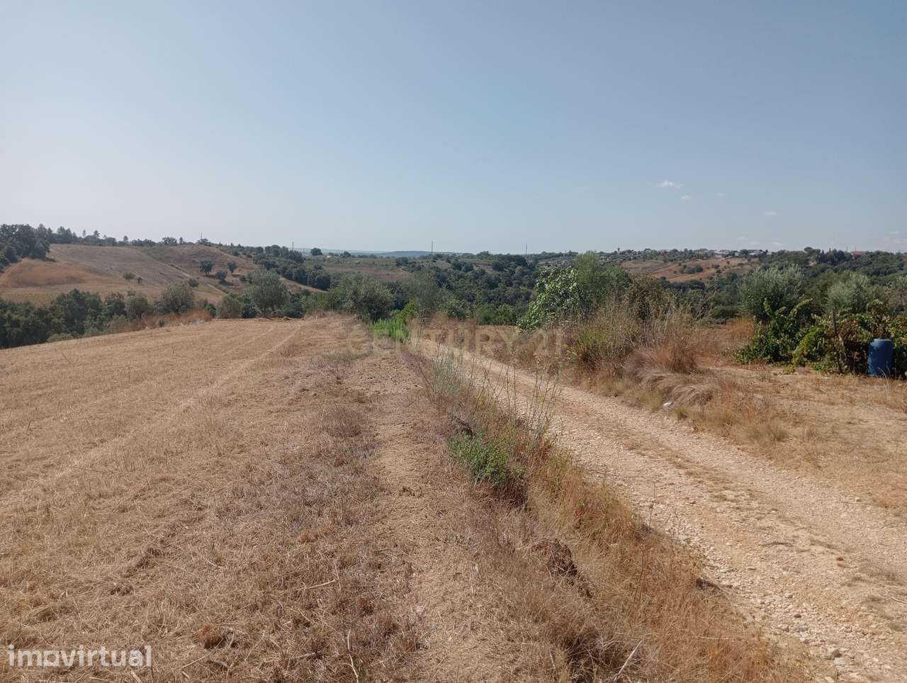 Terreno Agrícola em Brogueira, Torres Novas - 13640m² - Grande imagem: 5/10