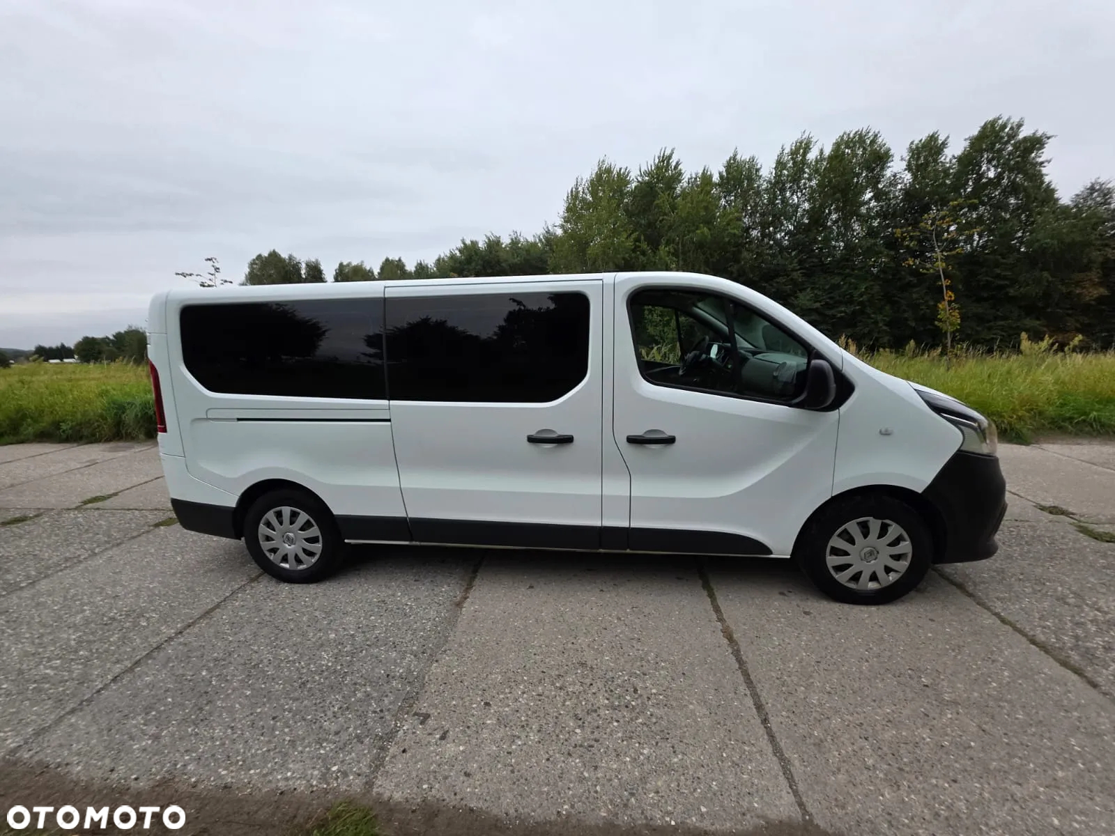 Renault Trafic - 5