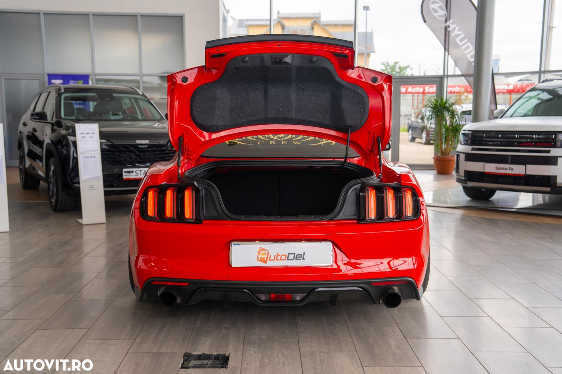 Ford Mustang - 19