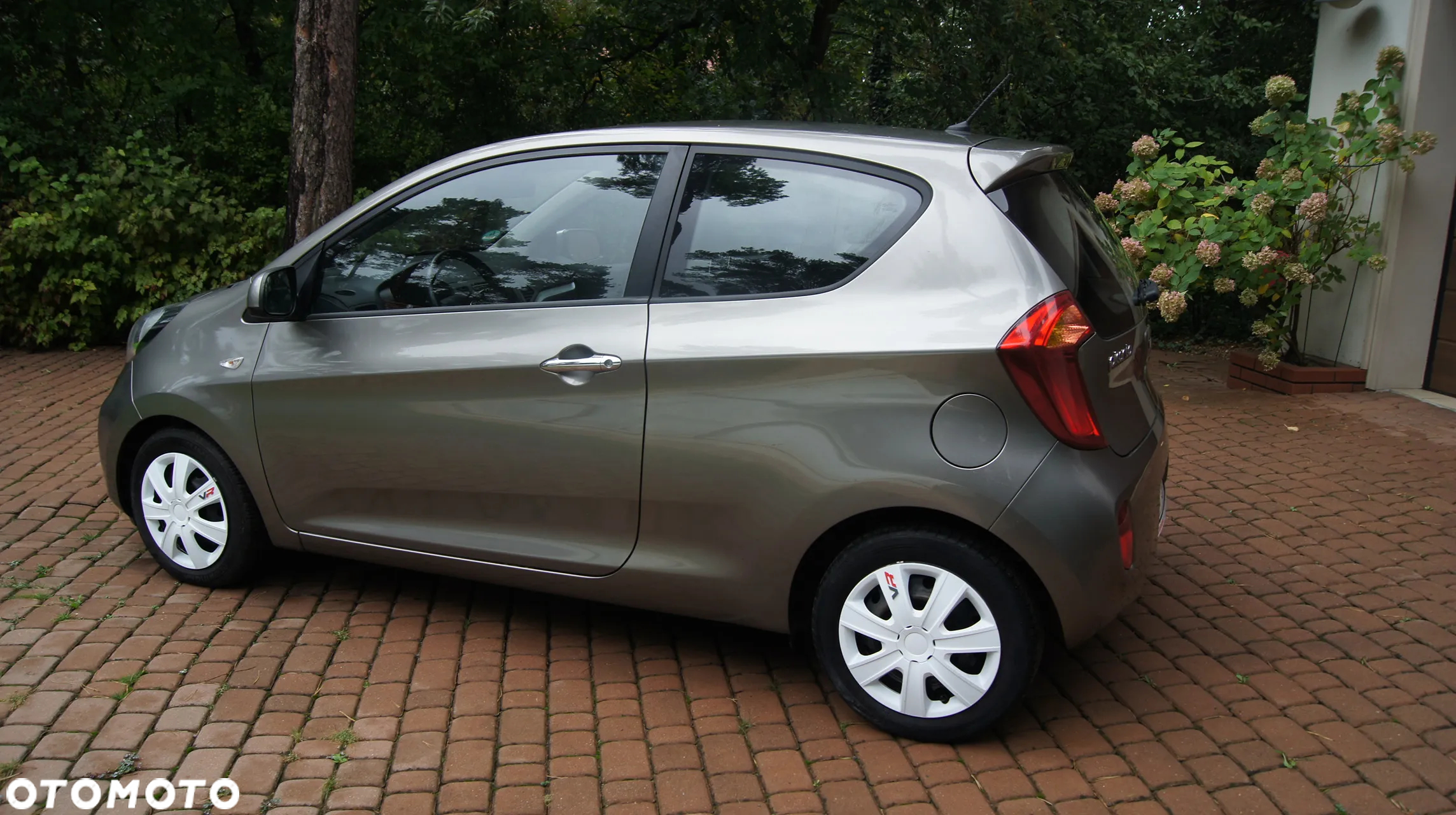 Kia Picanto 1.0 Dream Team Edition - 9