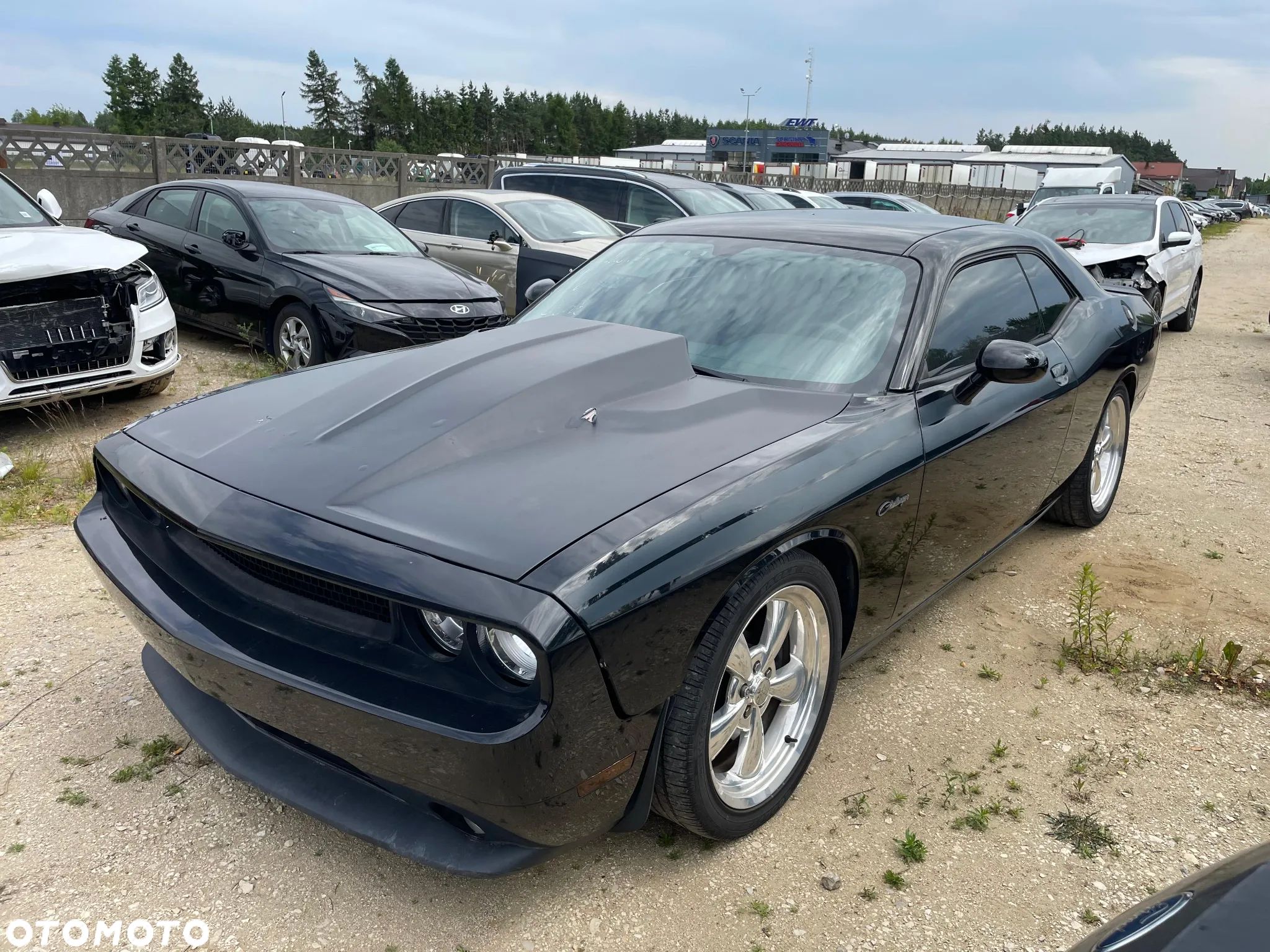 Dodge Challenger Automatik R/T Plus - 1