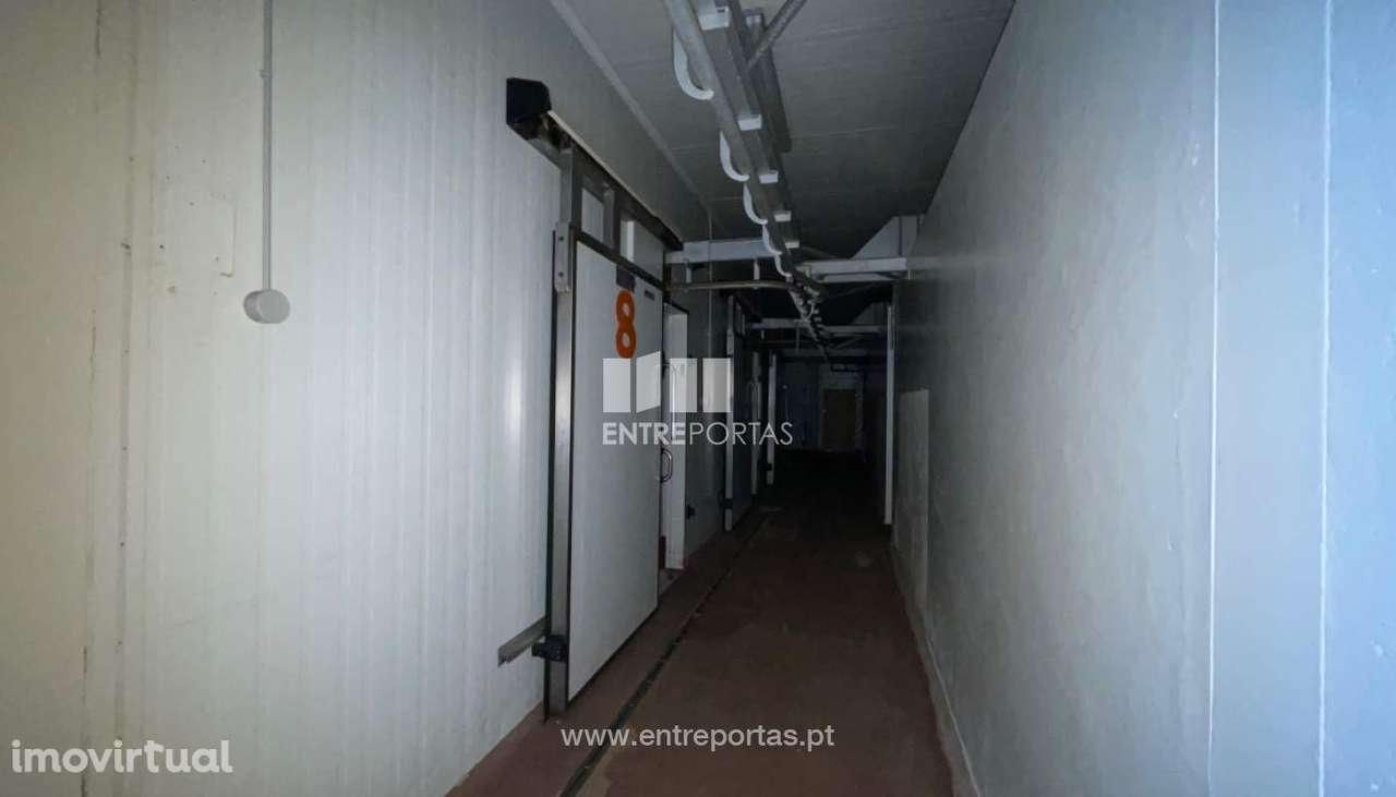 Venda de Armazém, Areosa, Viana do Castelo - Grande imagem: 3/30