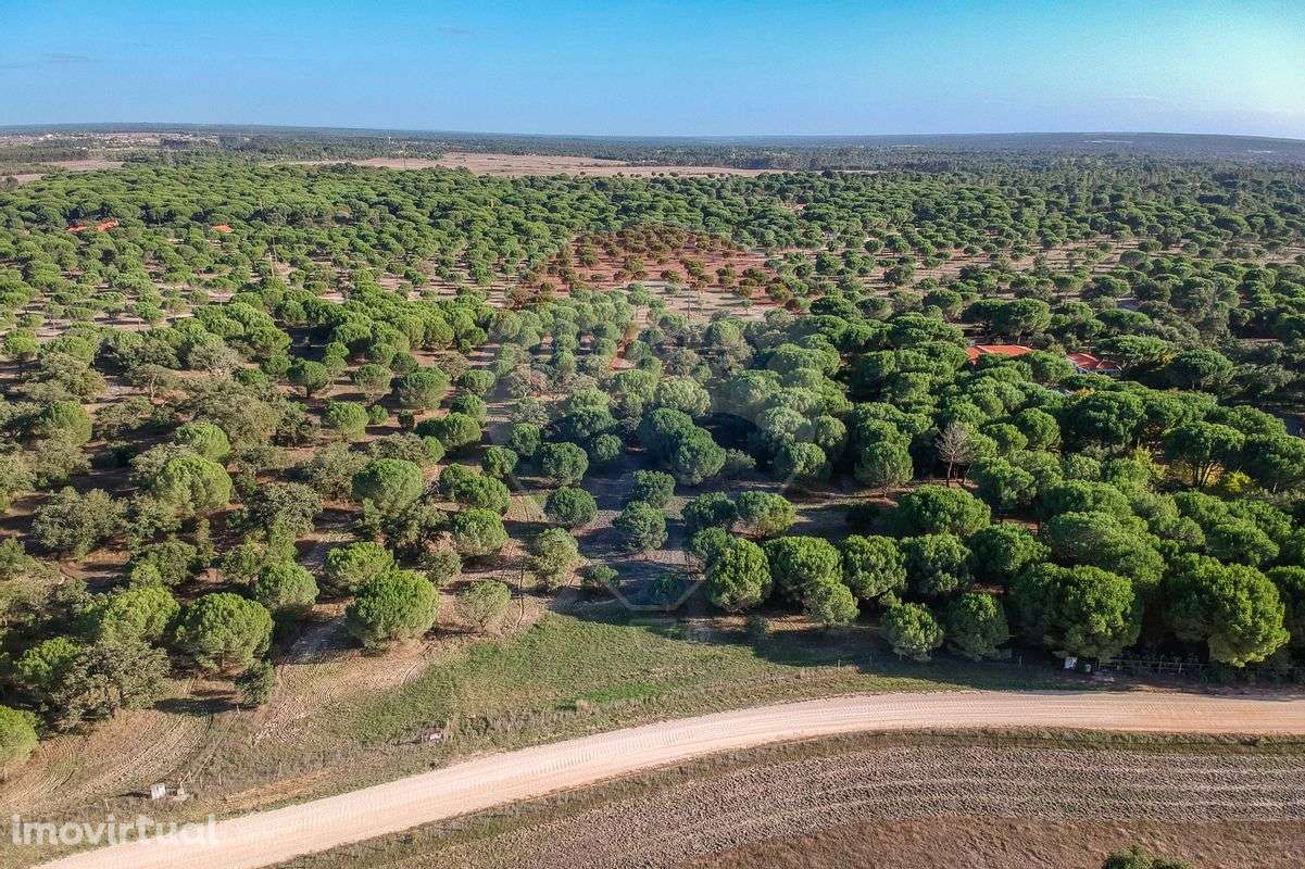 Terreno  para venda - Grande imagem: 2/7