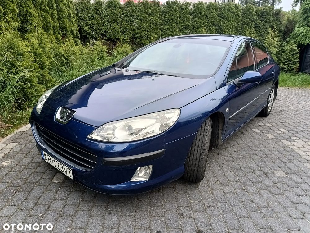 Peugeot 407 - 11