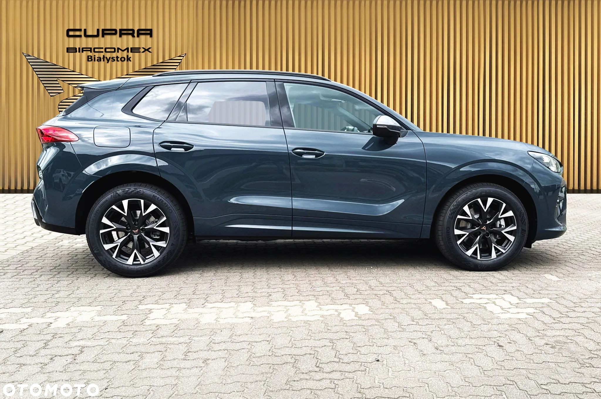 Cupra Terramar - 7