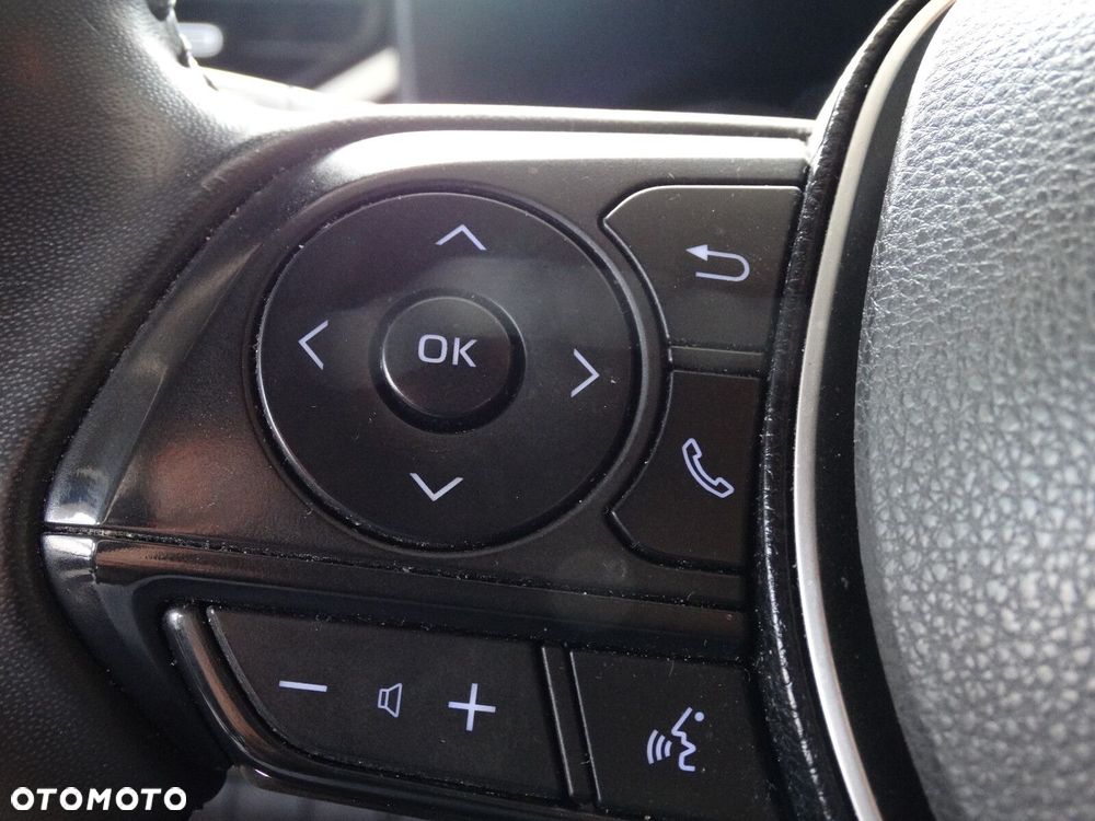 Toyota RAV4 - 20