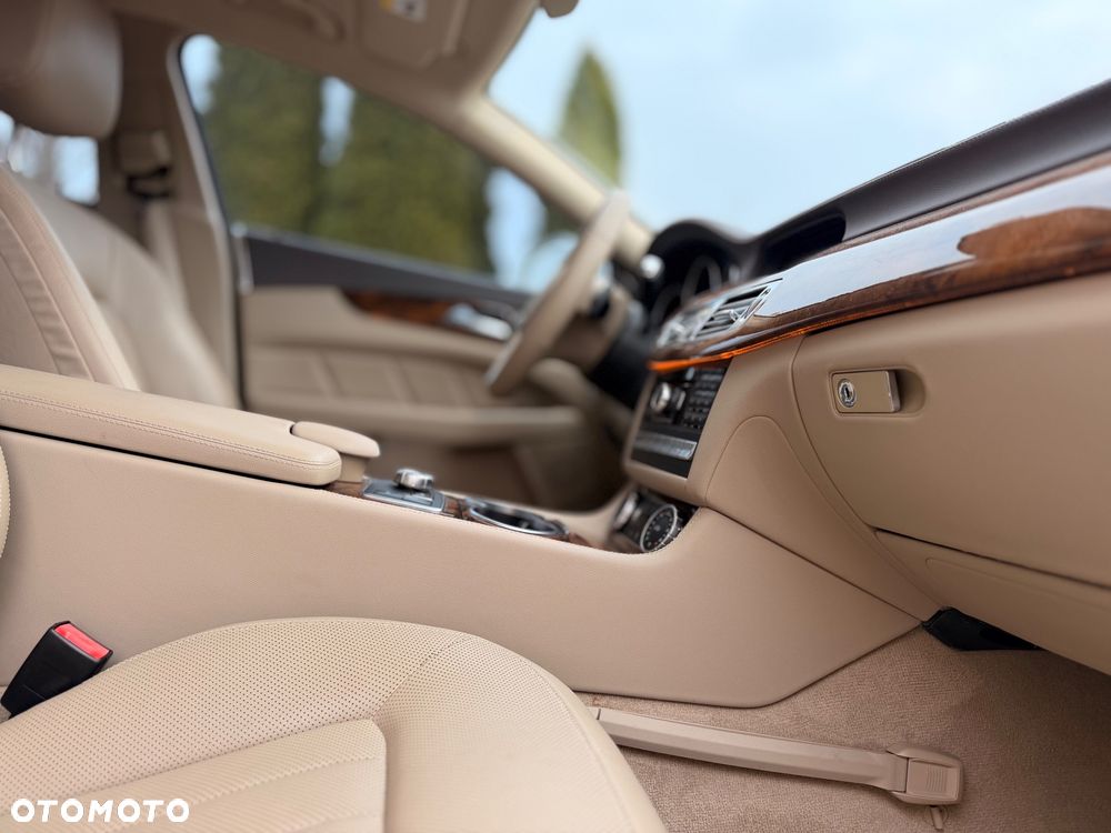 Mercedes-Benz CLS 500 BlueEffICIENCY - 26