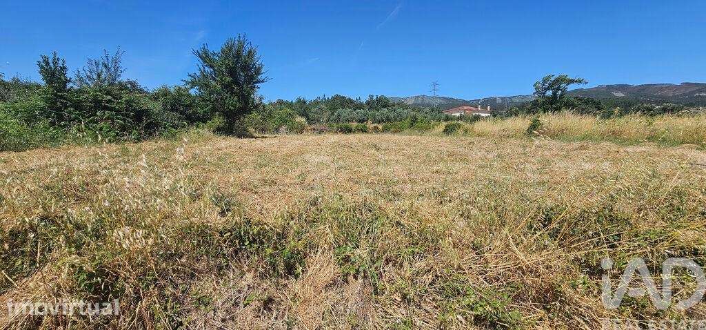 Terreno Agrícola em Cumeeira - Grande imagem: 4/14