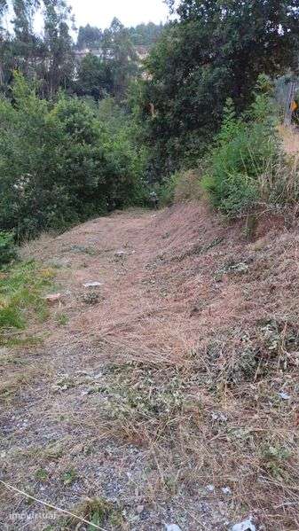 Terreno com casa para restauro - Grande imagem: 4/4