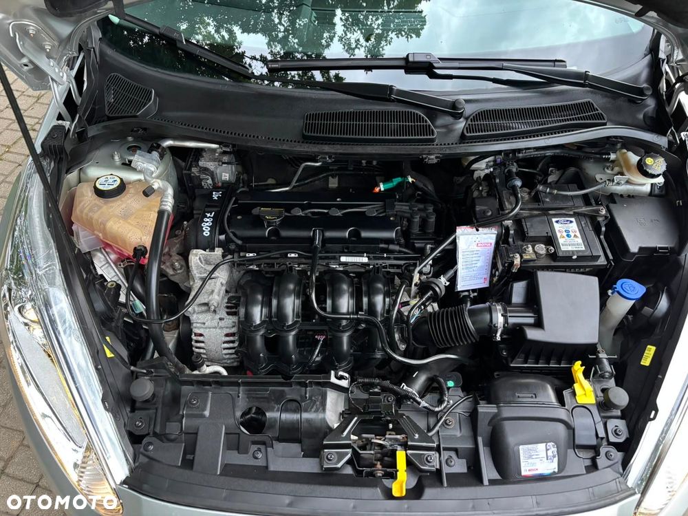 Ford Fiesta - 22