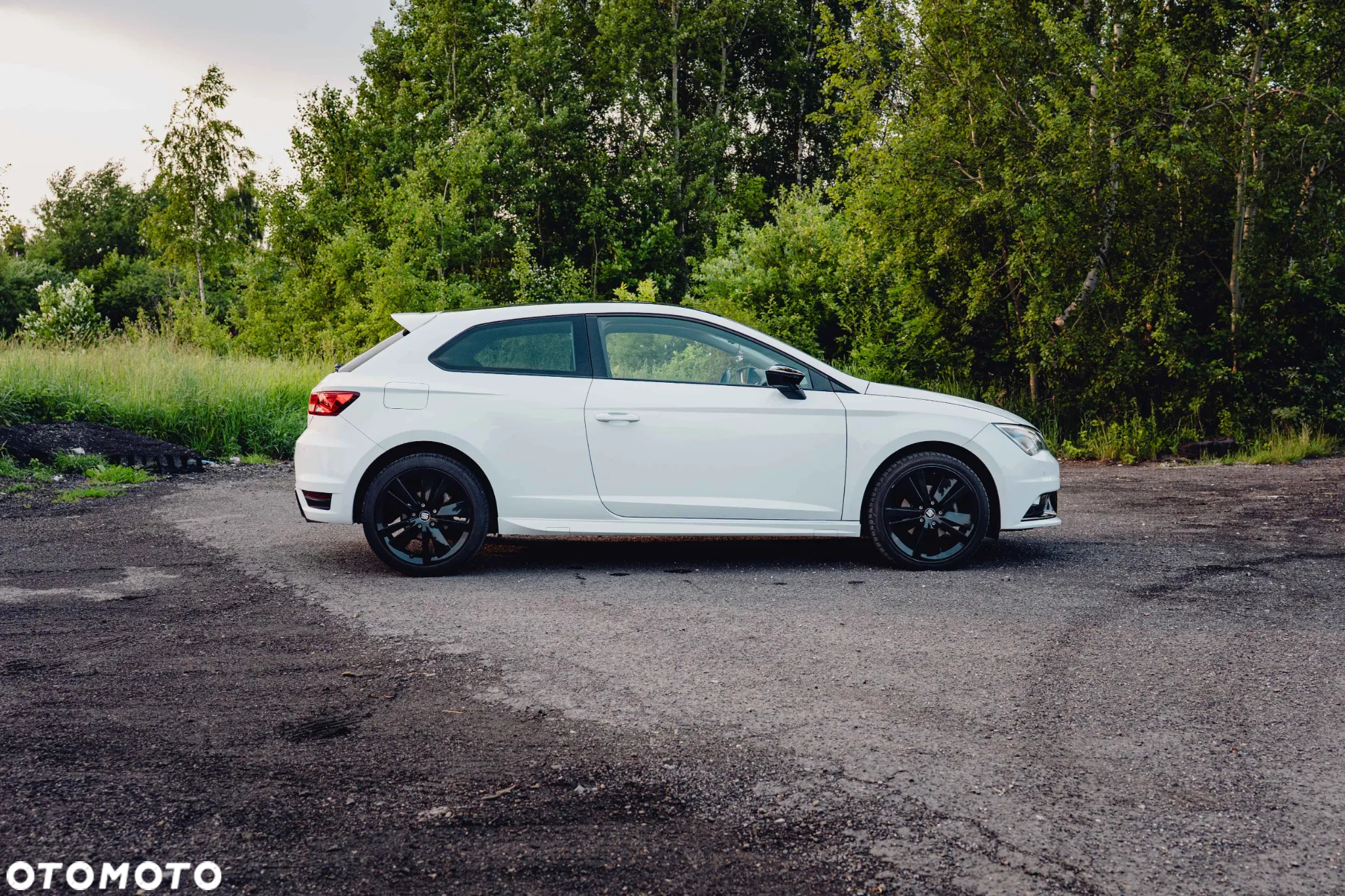 Seat Leon SC 2.0 TDI Style S&S EU6 - 7