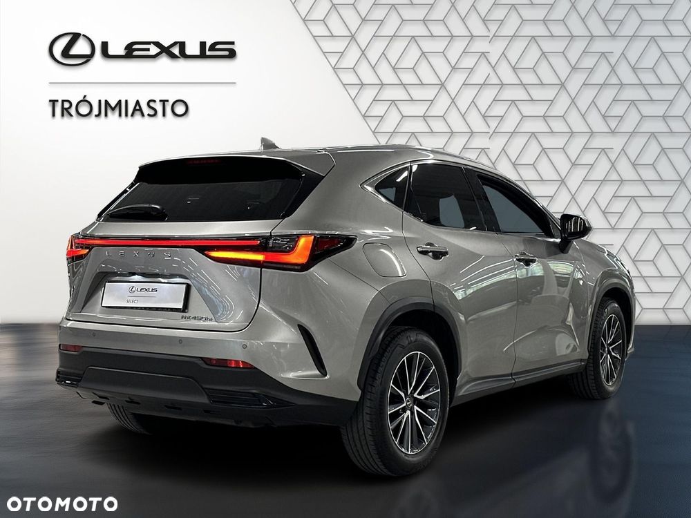 Lexus NX - 6