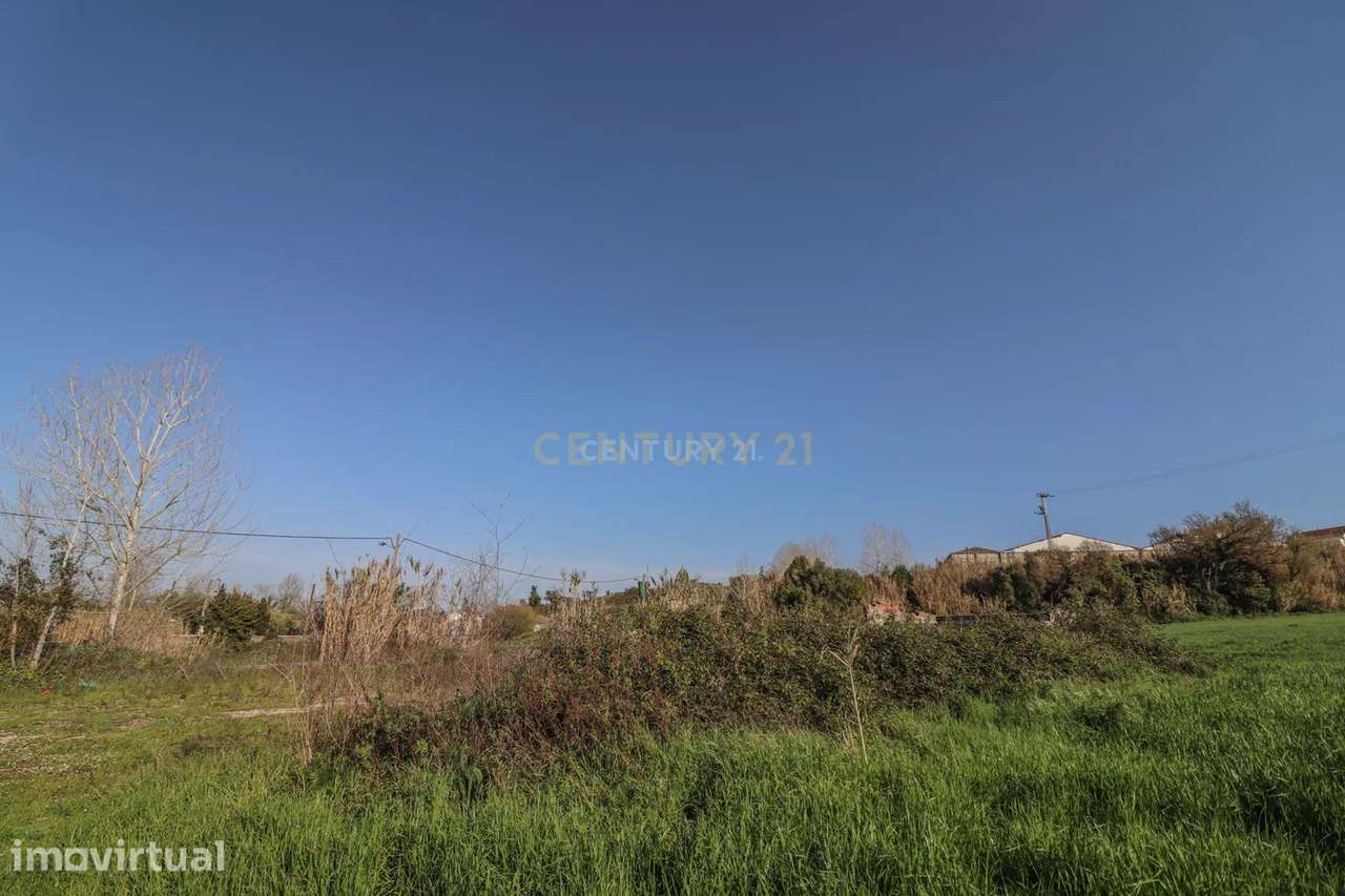 Terreno possibilidade Construção | 68.205m2 | Montemor-o-Velho - Grande imagem: 3/22