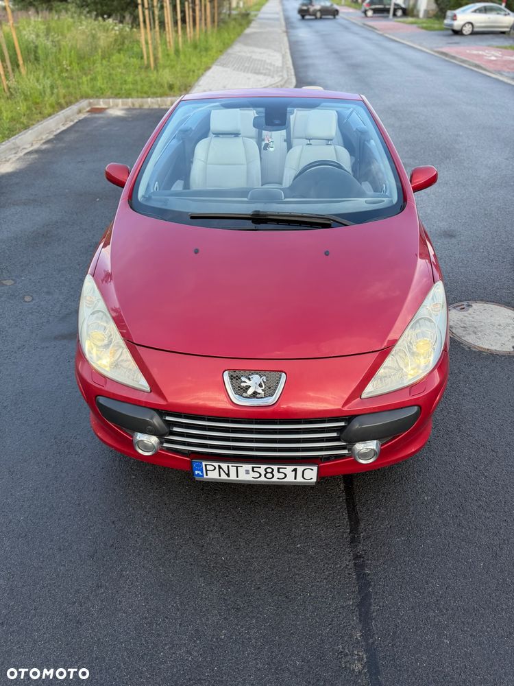 Peugeot 307 - 20