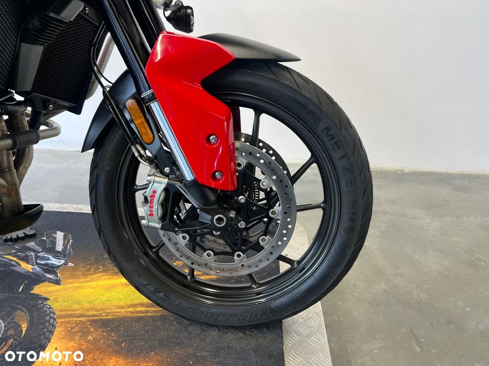 Triumph Tiger - 29