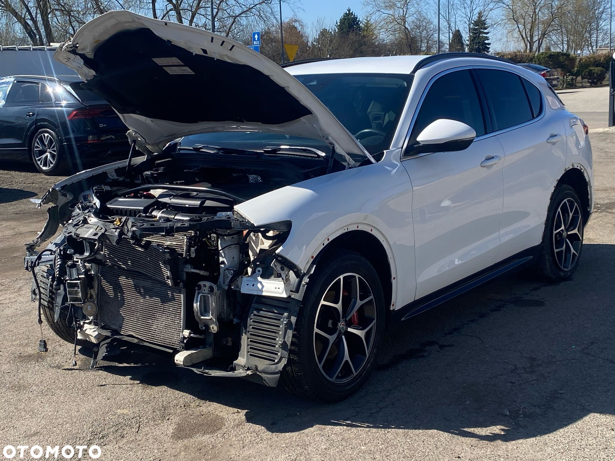 Alfa Romeo Stelvio 2.0 Turbo TI Q4 - 5