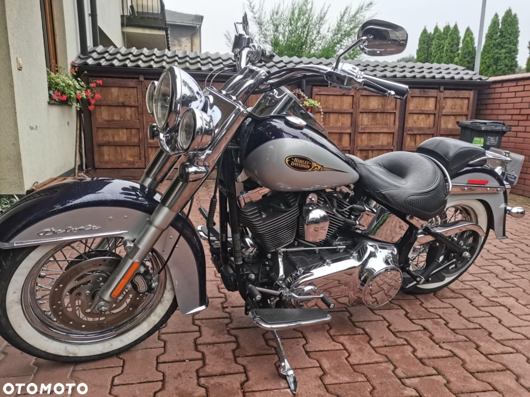 Harley-Davidson Softail Deluxe - 11