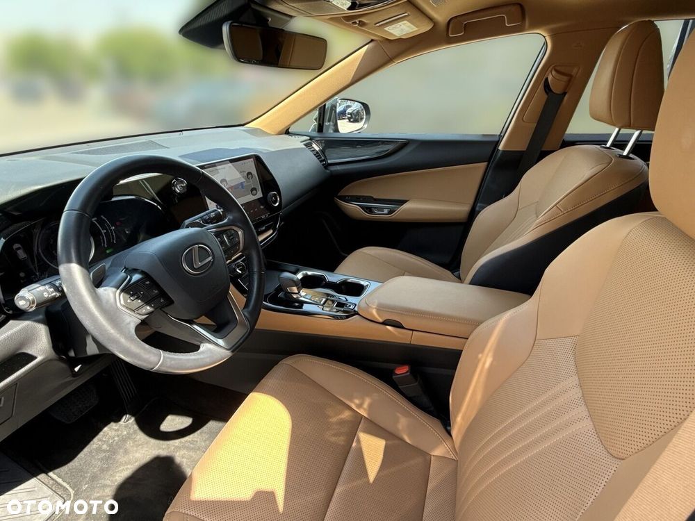 Lexus NX - 6