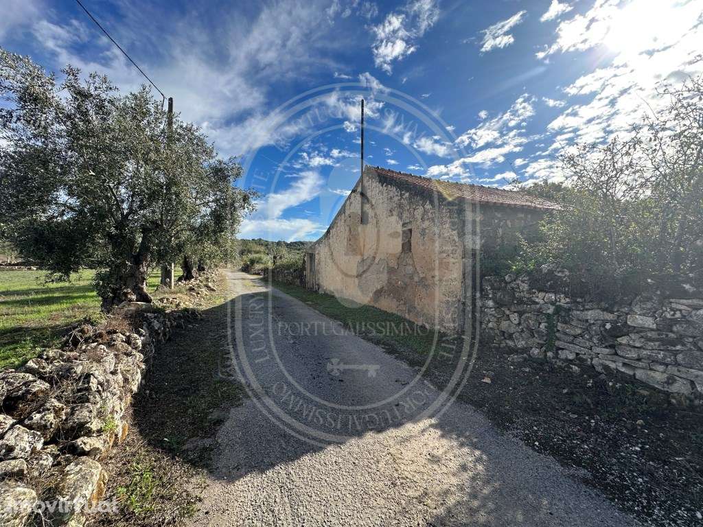 Encantadora quinta para renovar com 11.600 m² de terreno com olivei... - Grande imagem: 3/34