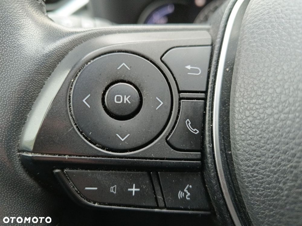 Toyota RAV4 2.5 Hybrid Selection 4x2 - 14