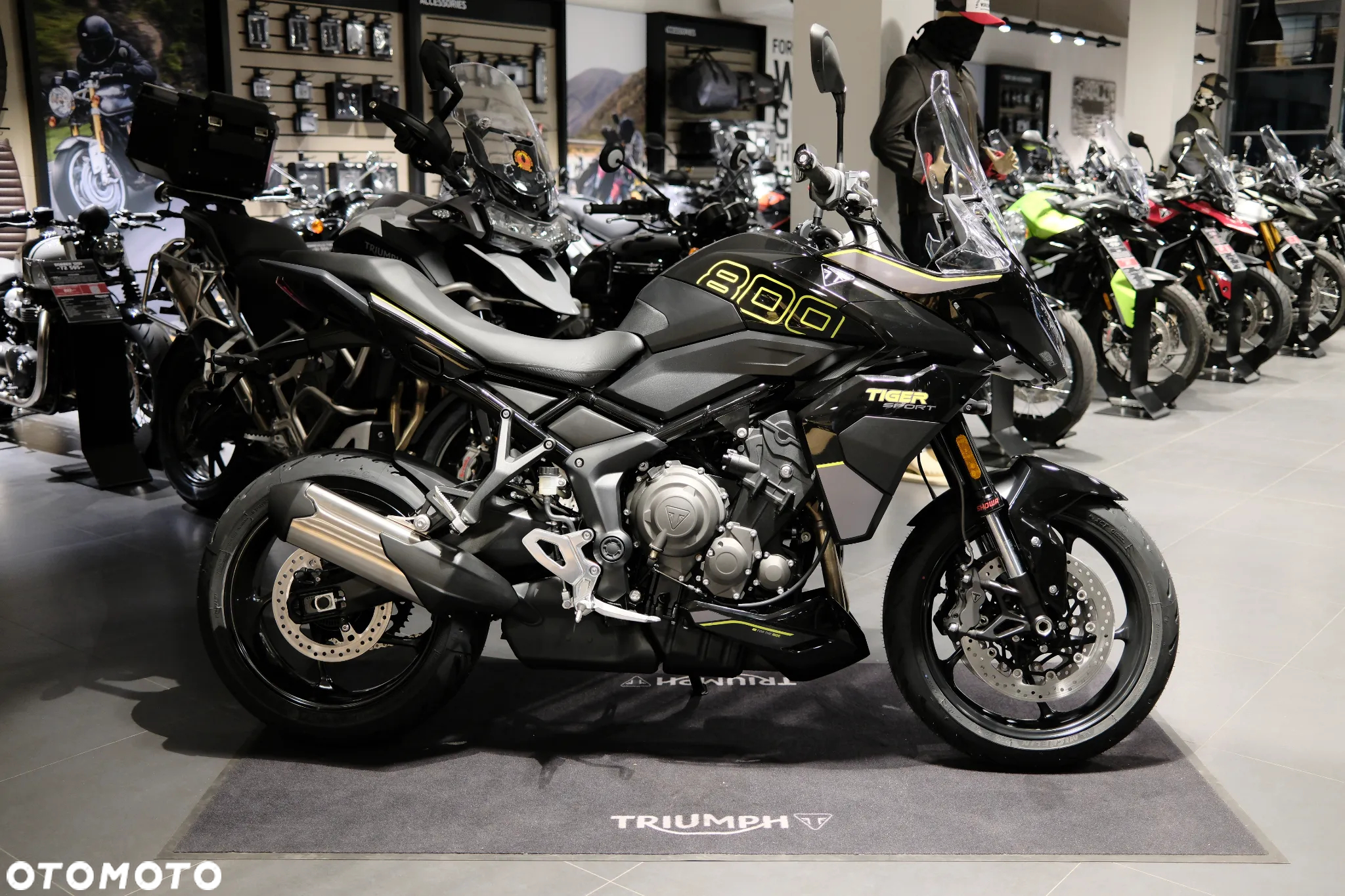 Triumph Tiger - 5