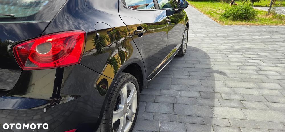 Seat Ibiza 1.4 16V Passion - 17
