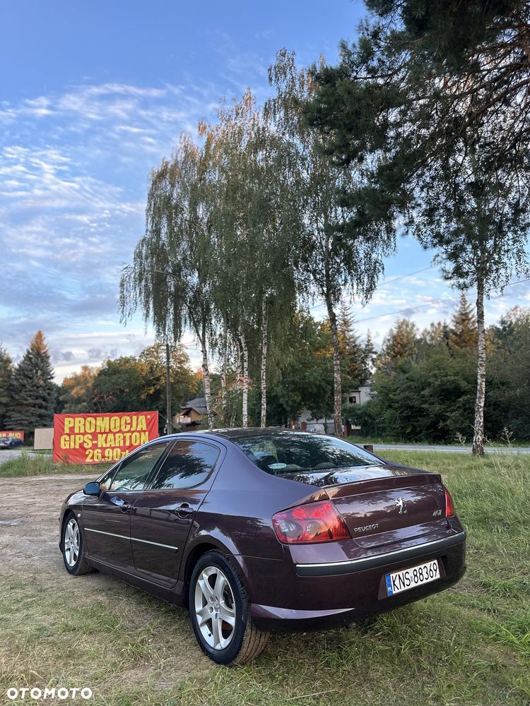 Peugeot 407 - 4