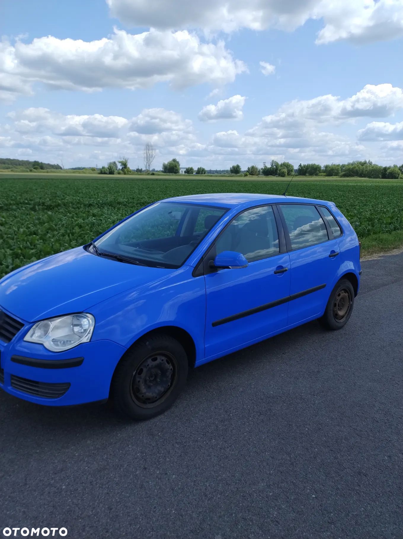 Volkswagen Polo - 1