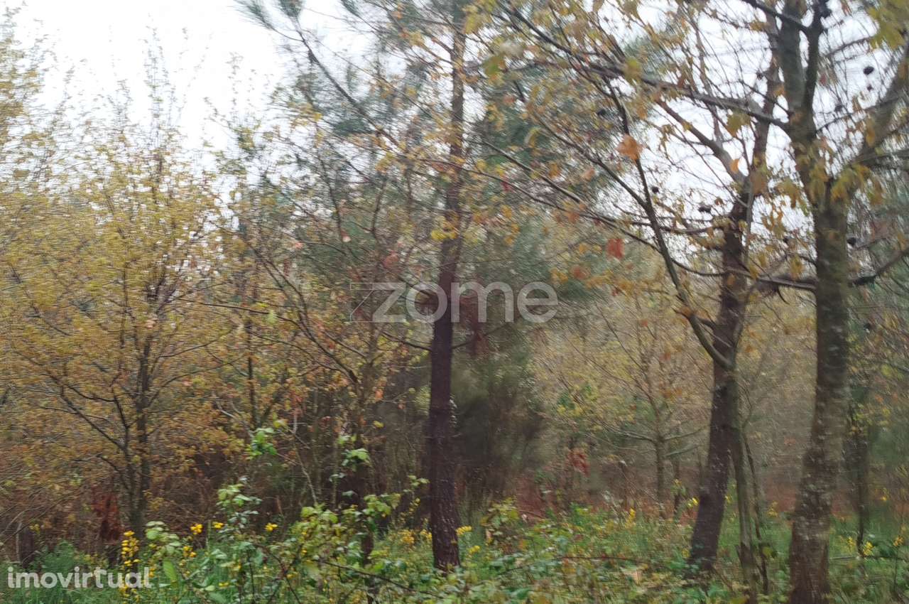 Terreno Urbanizável – O Local Perfeito para Construir a Sua Moradi... - Grande imagem: 4/44