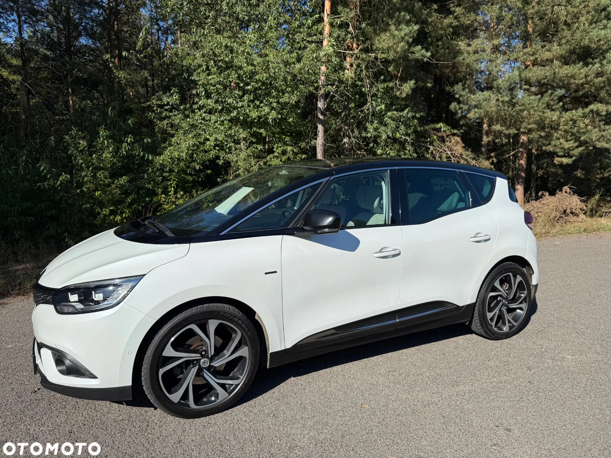 Renault Scenic - 6