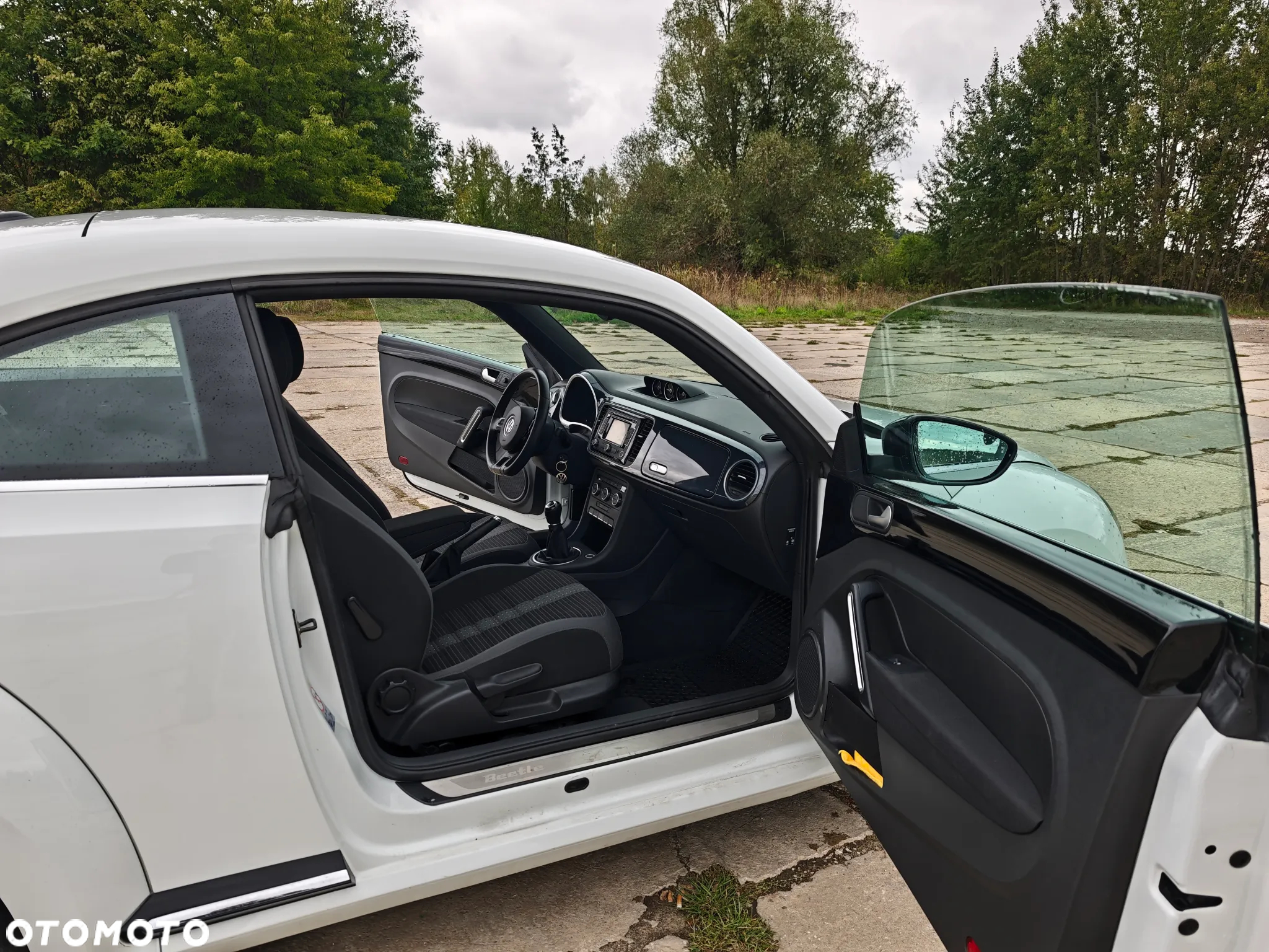 Volkswagen Beetle - 24