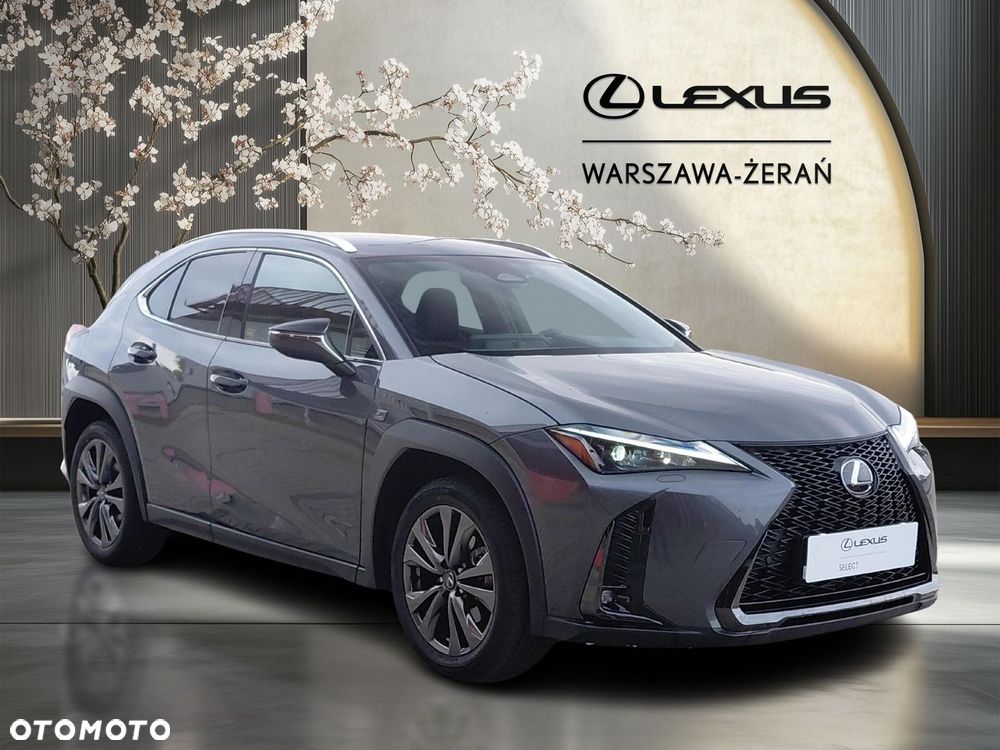 Lexus UX 300h F Sport Design - 9