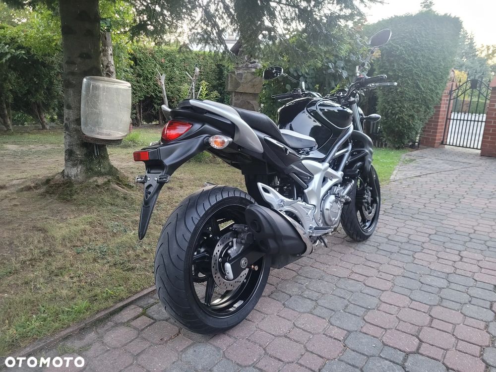 Suzuki Gladius - 14