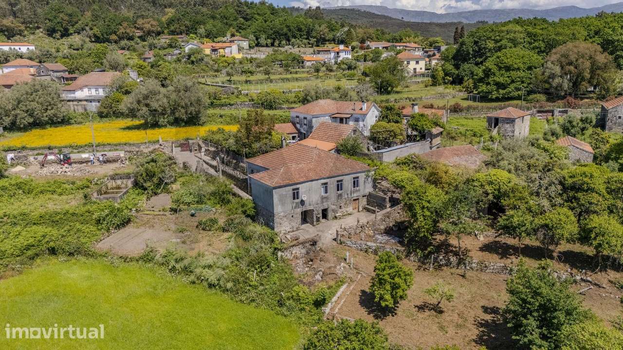 Quinta em Pedra com 5.200 m2 + Terreno para Construção | Riba de Âncor - Grande imagem: 4/60
