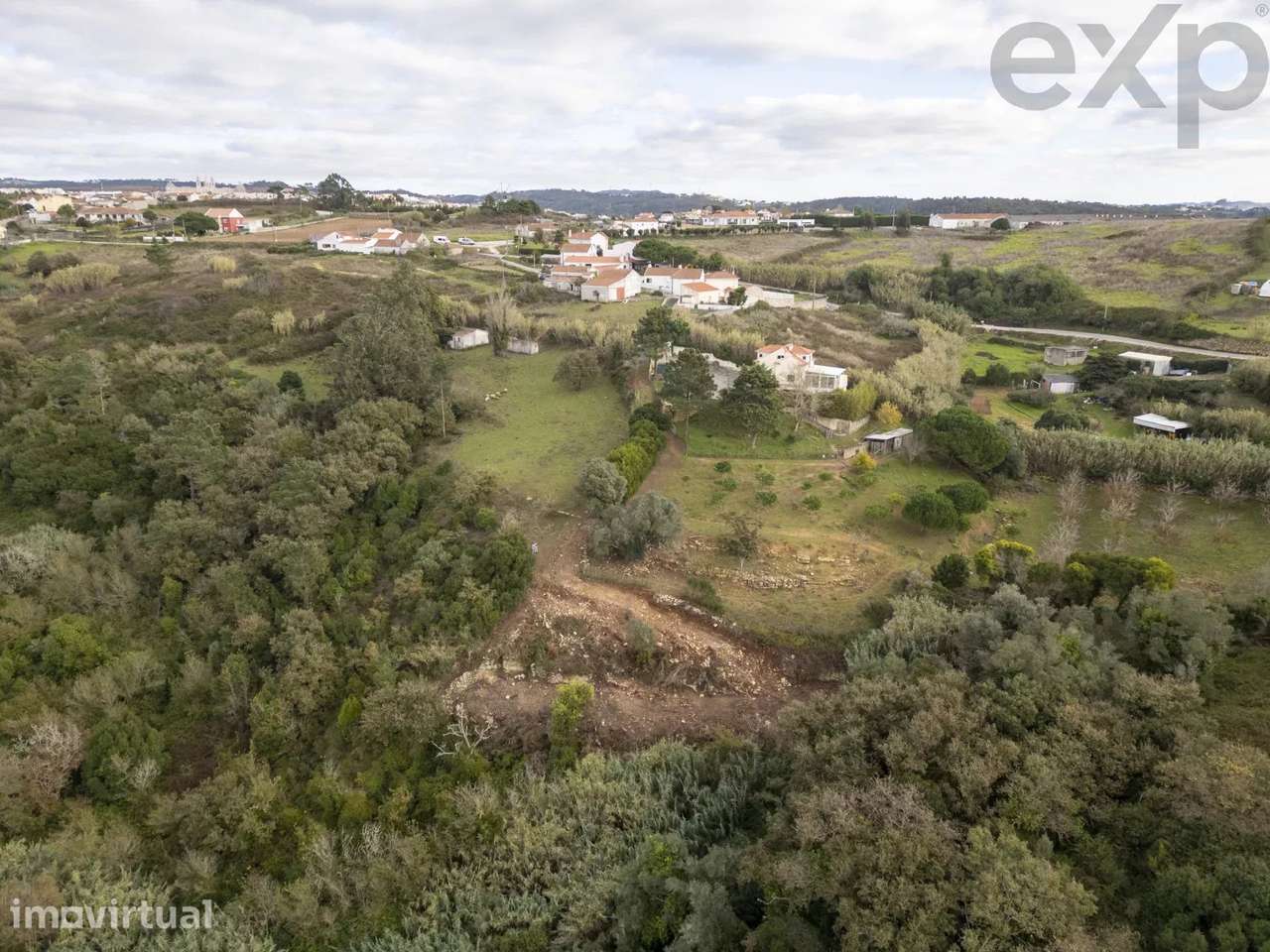 Pomar Novo - Coxo - Grande imagem: 2/7