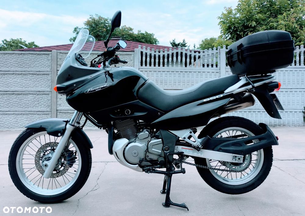 Suzuki XF - 1