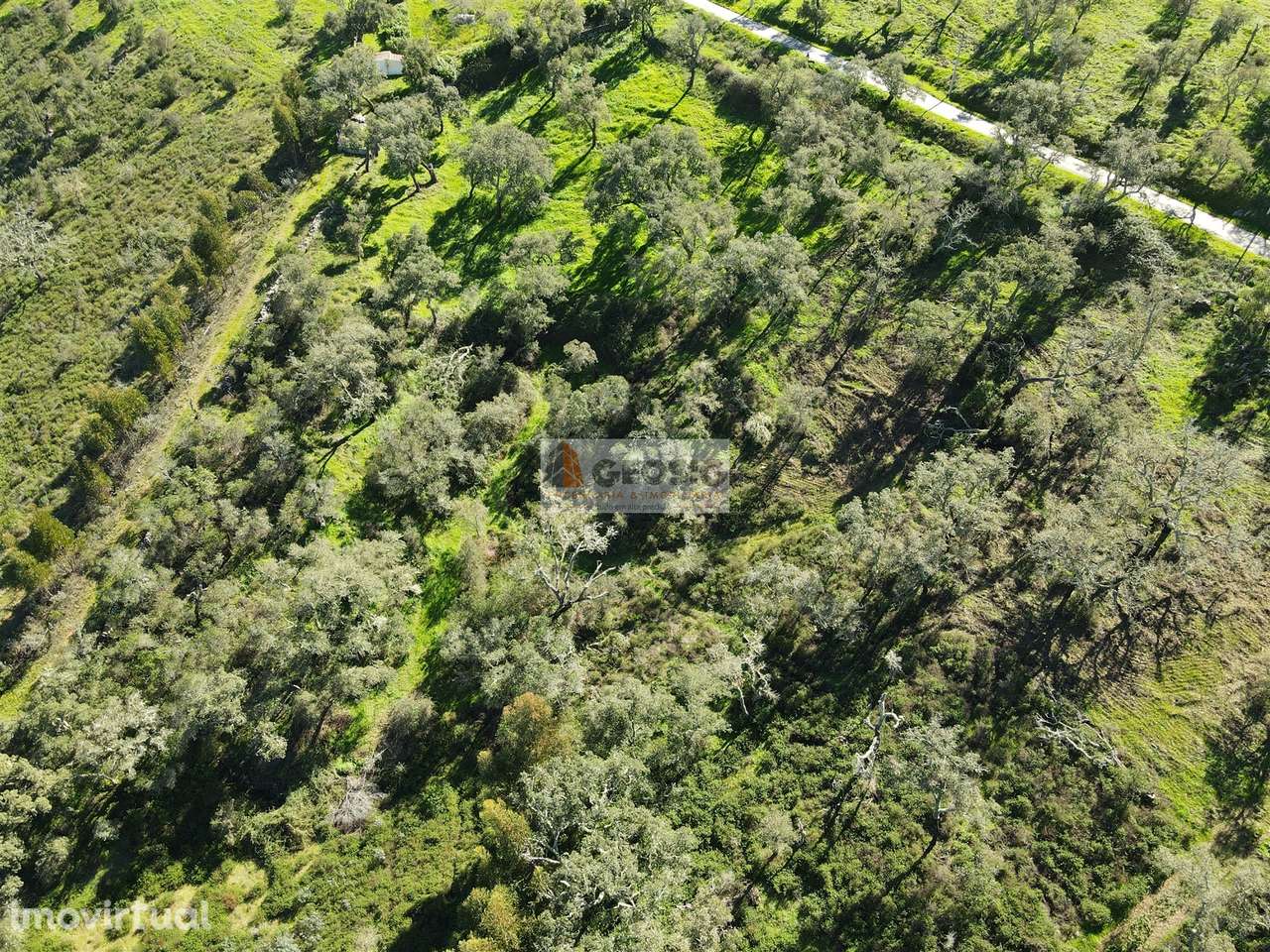 Terreno Rústico  Venda em São Barnabé,Almodôvar - Grande imagem: 5/6