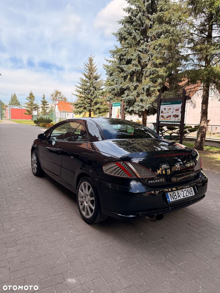 Peugeot 307 CC 2.0 - 9